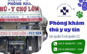 Top 5 phòng khám hàng đầu tại Quận 5 HCM – Lựa chọn thông minh để bảo vệ sức khỏe